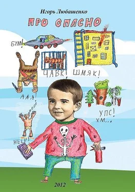 Игорь Любашенко ПРО ОПАСНО обложка книги