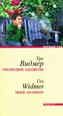 Урс Видмер Господин Адамсон обложка книги