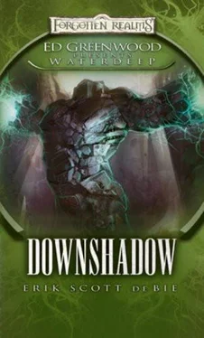 Erik de Bie Downshadow обложка книги