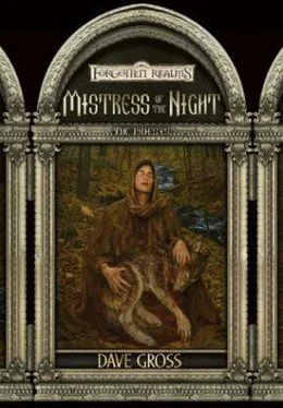 Dave Gross Mistress of the Night обложка книги