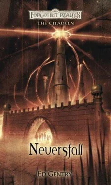 Ed Gentry Neversfall обложка книги