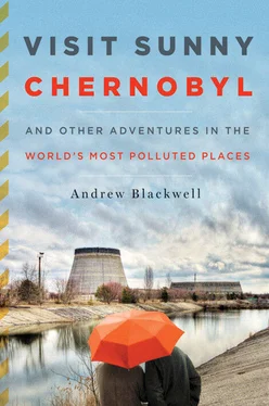 Andrew Blackwell Visit Sunny Chernobyl: And Other Adventures in the World's Most Polluted Places обложка книги