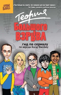 Екатерина Диппер Теория Большого взрыва: гид по сериалу по версии Kuraj-Bambey обложка книги