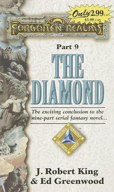 J. King The Diamond обложка книги