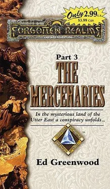 Ed Greenwood The Mercenaries обложка книги