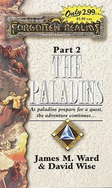 James Ward The Paladins обложка книги