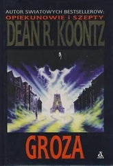 Dean Koontz - Groza