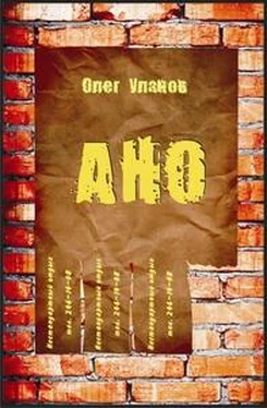 Олег Уланов АНО - 2 (СИ) обложка книги