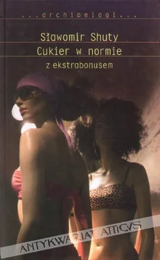 Slawomir Shuty Cukier w normie z ekstrabonusem обложка книги