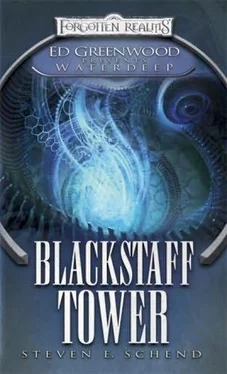 Steven Schend Blackstaff Tower обложка книги