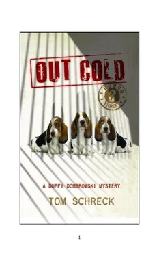 Tom Schreck Out Cold обложка книги