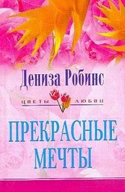 Дениз Робинс Прекрасные мечты обложка книги