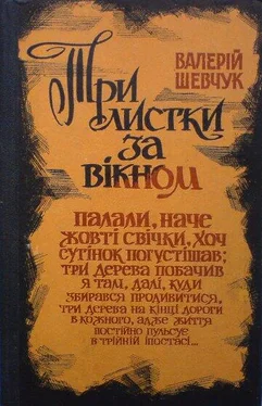 Валерий Шевчук Три листки за вікном обложка книги