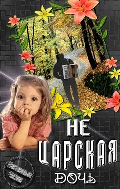 Наталья Чеха Не царская дочь обложка книги