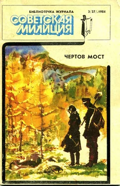 Юрий Воложанин Чертов мост обложка книги