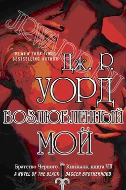 Дж. Уорд Возлюбленный мой обложка книги