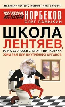 Олег Ламыкин Школа лентяев , или Тибетская оздоровительная гимнастика для внутренних органов обложка книги