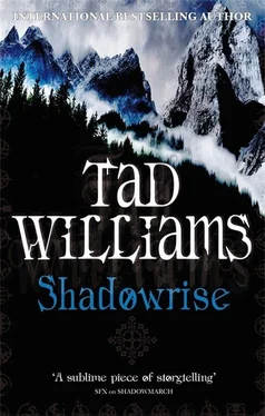 Tad Williams Shadowrise обложка книги