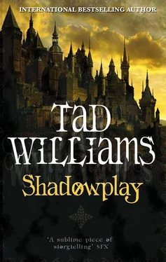 Tad Williams Shadowplay обложка книги