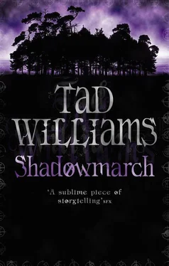 Tad Williams Shadowmarch обложка книги