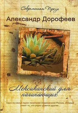 Александр Дорофеев Мексиканский для начинающих обложка книги