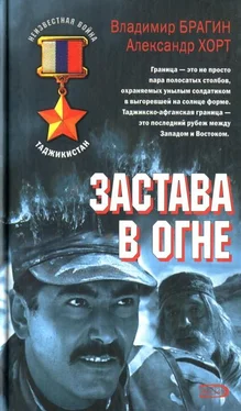 Владимир Брагин Застава в огне обложка книги