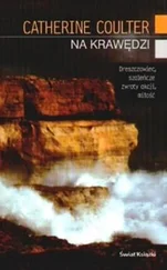 Catherine Coulter - Na krawędzi