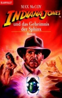 Max McCoy Indiana Jones und das Geheimnis der Sphinx обложка книги