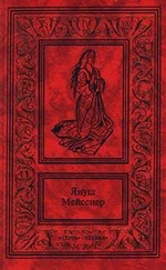Януш Мейсснер - Красные кресты