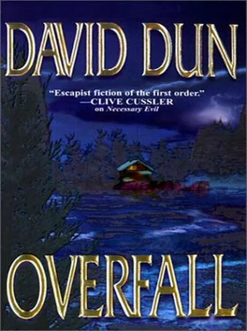 David Dun Overfall обложка книги