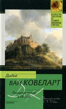 Дидье Ковеларт Прошлой ночью в XV веке обложка книги