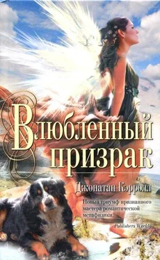 Джонатан Кэрролл Влюбленный призрак обложка книги