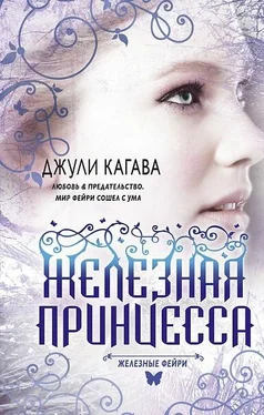 Джули Кагава Железная принцесса обложка книги