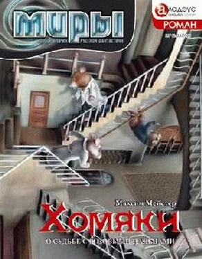 Максим Мейстер Хомяки, или О судьбе с розовыми пальцами обложка книги