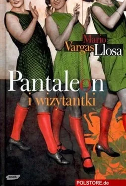 Mario Llosa Pantaleon i wizytanki обложка книги