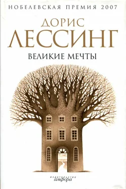 Дорис Лессинг Великие мечты обложка книги