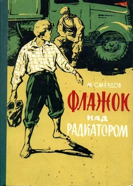Михаил Смёрдов Флажок над радиатором обложка книги