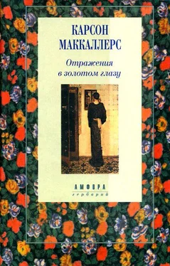 Карсон Маккаллерс Отражения в золотом глазу обложка книги