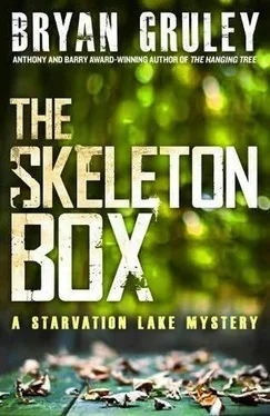 Bryan Gruley The Skeleton Box обложка книги