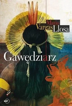 Mario Llosa Gawędziarz обложка книги