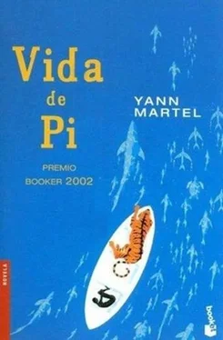 Yann Martel Vida de Pi обложка книги