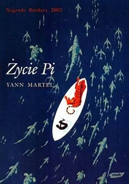 Yann Martel Życie Pi обложка книги