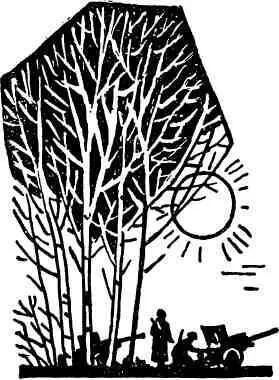 ГЛАВА ПЕРВАЯ То место на котором стояла батарея в туманное утро пришлось - фото 6