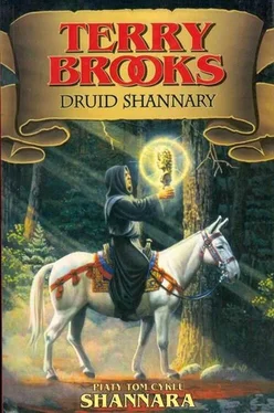 Terry Brooks Druid Shannary обложка книги