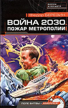Федор Березин Война 2030. Пожар Метрополии