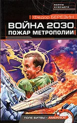Федор Березин - Война 2030. Пожар Метрополии