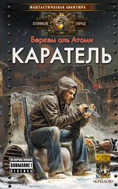 Беркем Атоми Каратель обложка книги