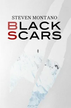 Steven Montano Black Scars обложка книги