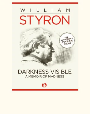 William Styron Darkness Visible обложка книги