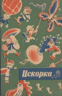 Валерий Воскобойников Рыжий обложка книги